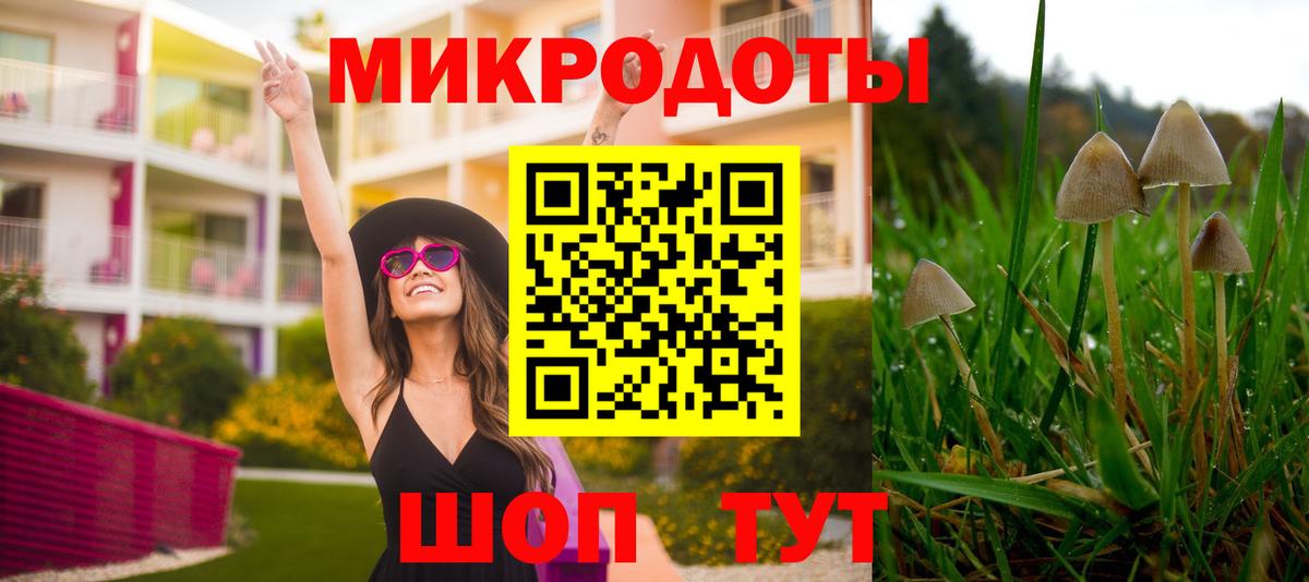 Псилоцибиновые грибы прущие грибы  Вход с VPN  Соль-Илецк  Псилоцибиновые грибы MAGIC MUSHROOMS 